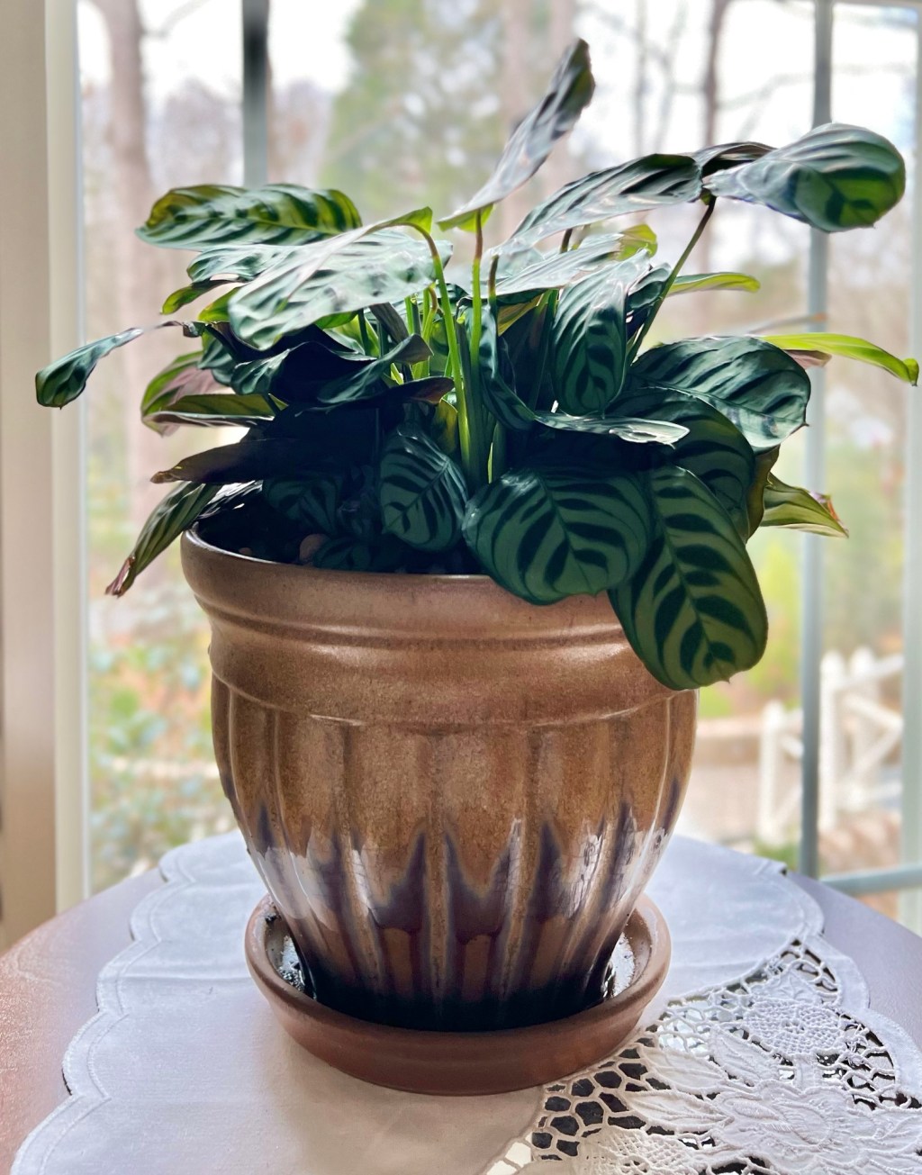 Bezsenność, bezgraniczność, bezsens