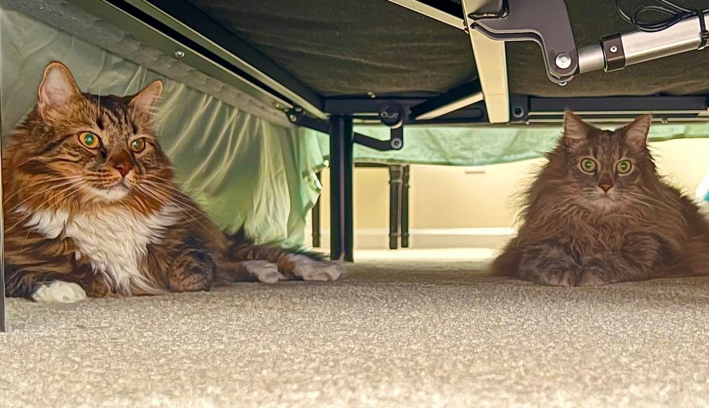 Dwugodzinne wakacje🤣