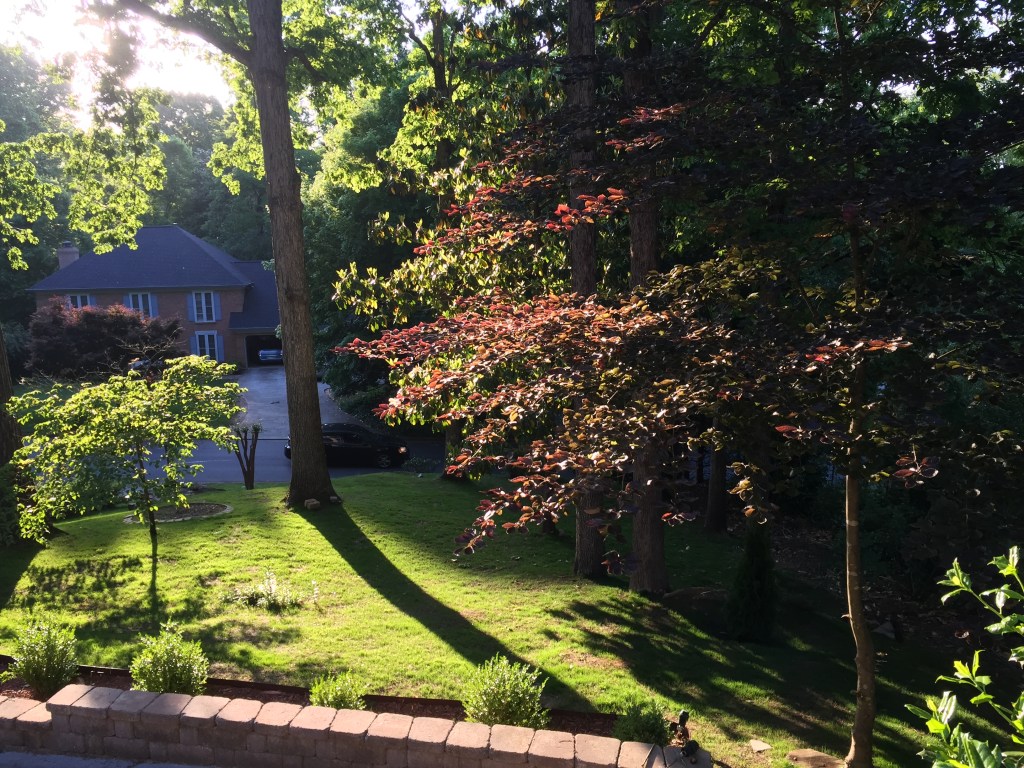 Poranek ze ścieżką w&nbsp;tle