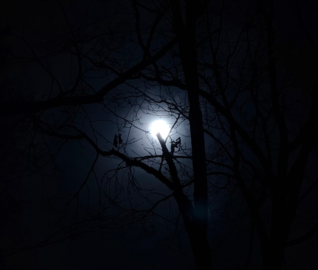 Ciemna noc